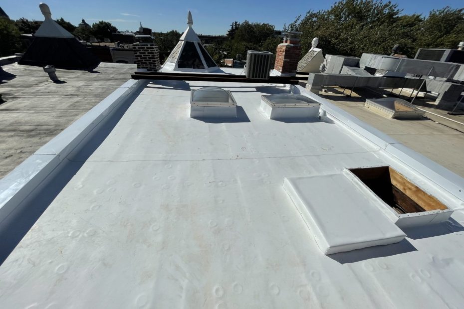 what is flat roof system