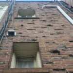 washington-dc-clinker-brick-variations