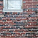 washington-dc-clinker-brick-variations