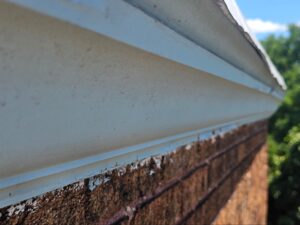Blog 130 historic brick facade