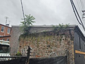 Blog 125 old masonry wall left behind