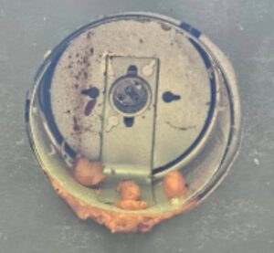 Spray Foam is NOT the Answer - Part III 5 light box or high hat type of rough-in device is installed