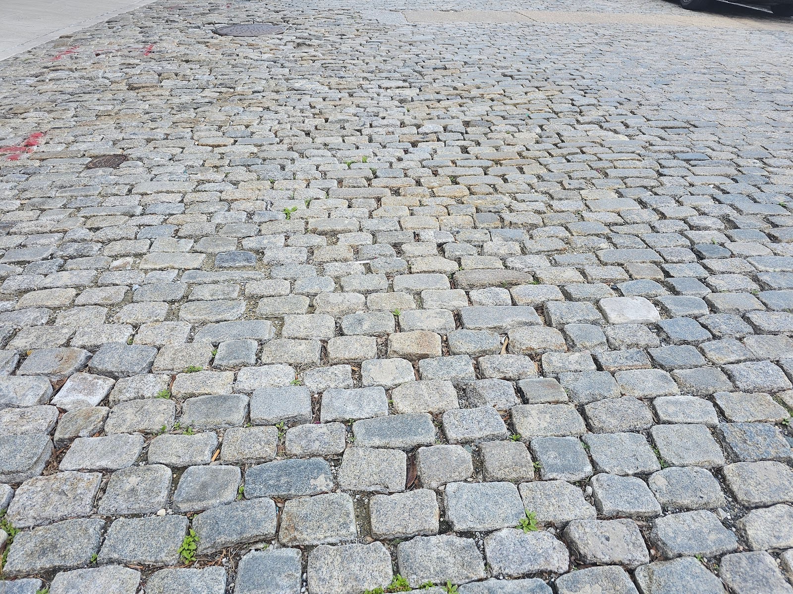 Cobblestone Paving - Part - Infinity Design Solutions