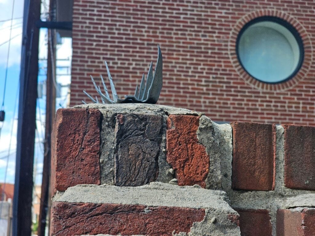 Controlling birds on masonry walls with spikes in Washington DC