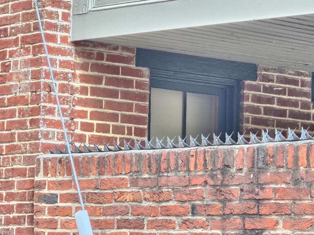 Spikes to Punish Birds on Masonry Walls - Part I