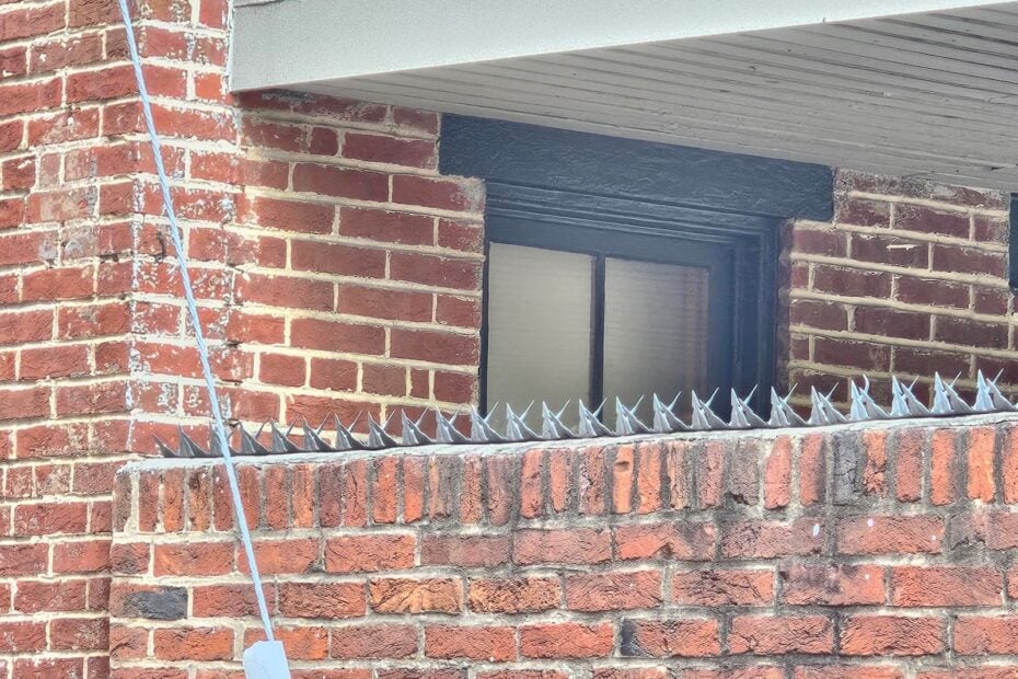 Spikes to Punish Birds on Masonry Walls - Part I