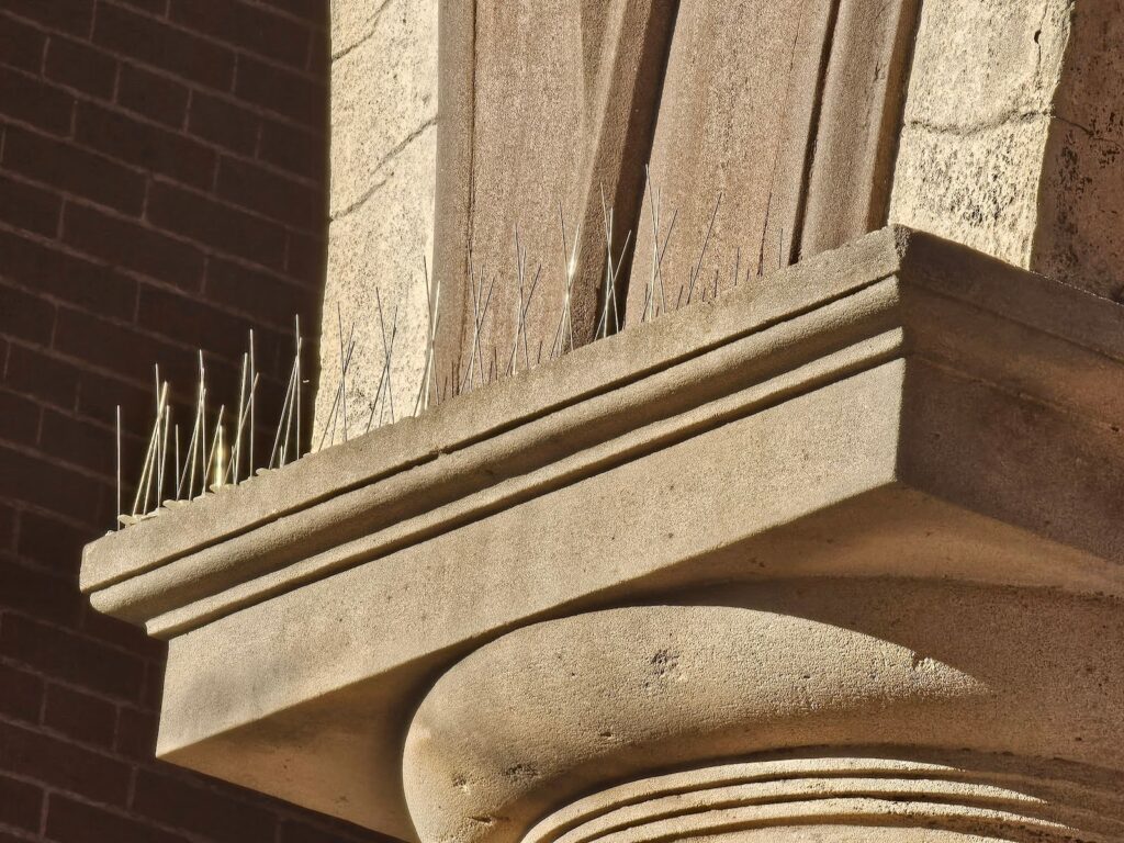 Spikes to Punish Birds on Masonry Walls - Part II