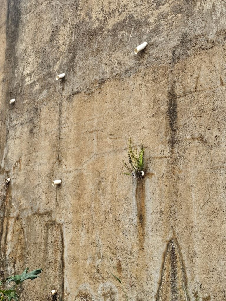 Clogged wall weeps causing water damage in retaining wall – Washington DC