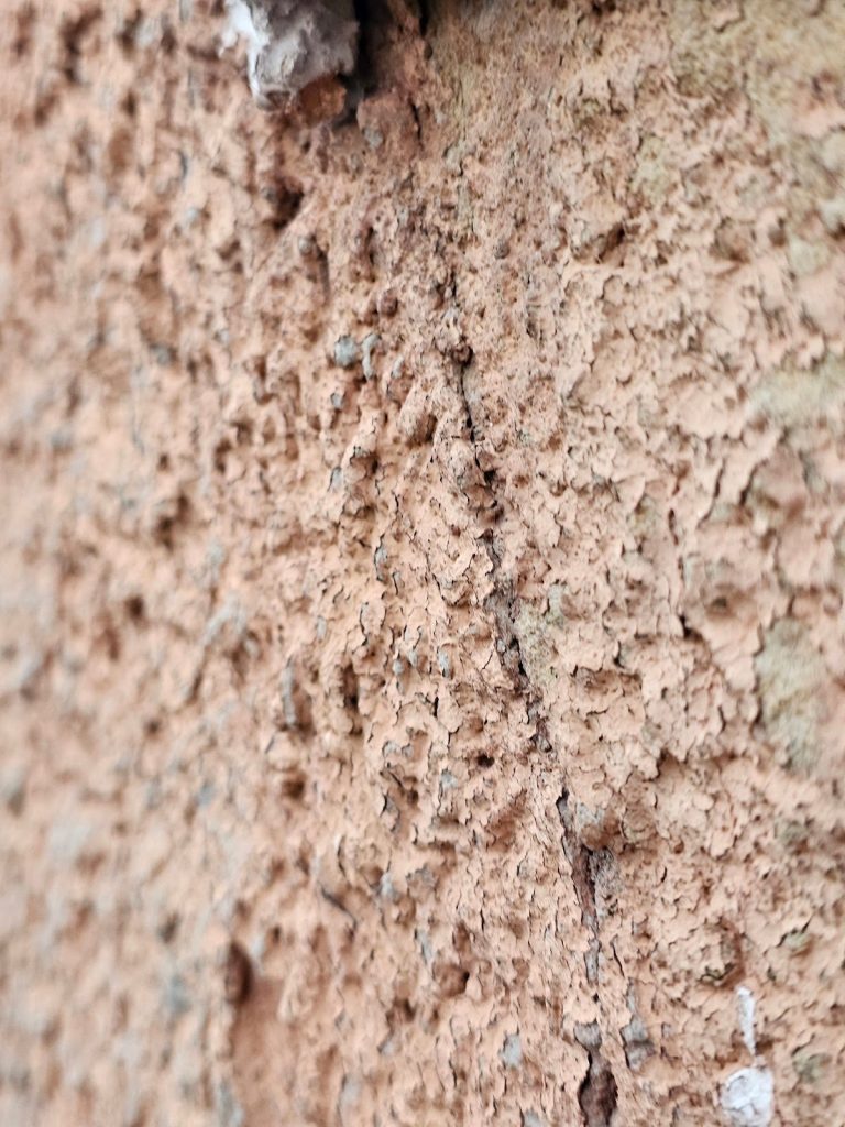Contractor inspecting Historic Brick stucco damage – Washington DC