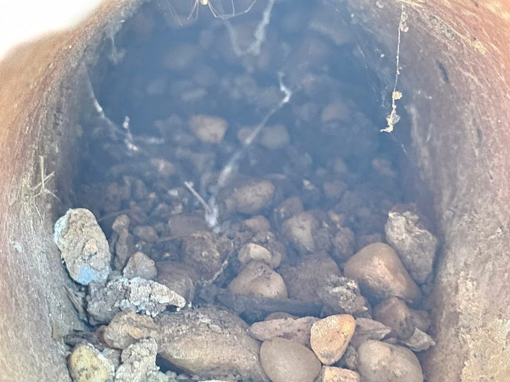 Drainage issues from clogged wall weeps in Washington DC