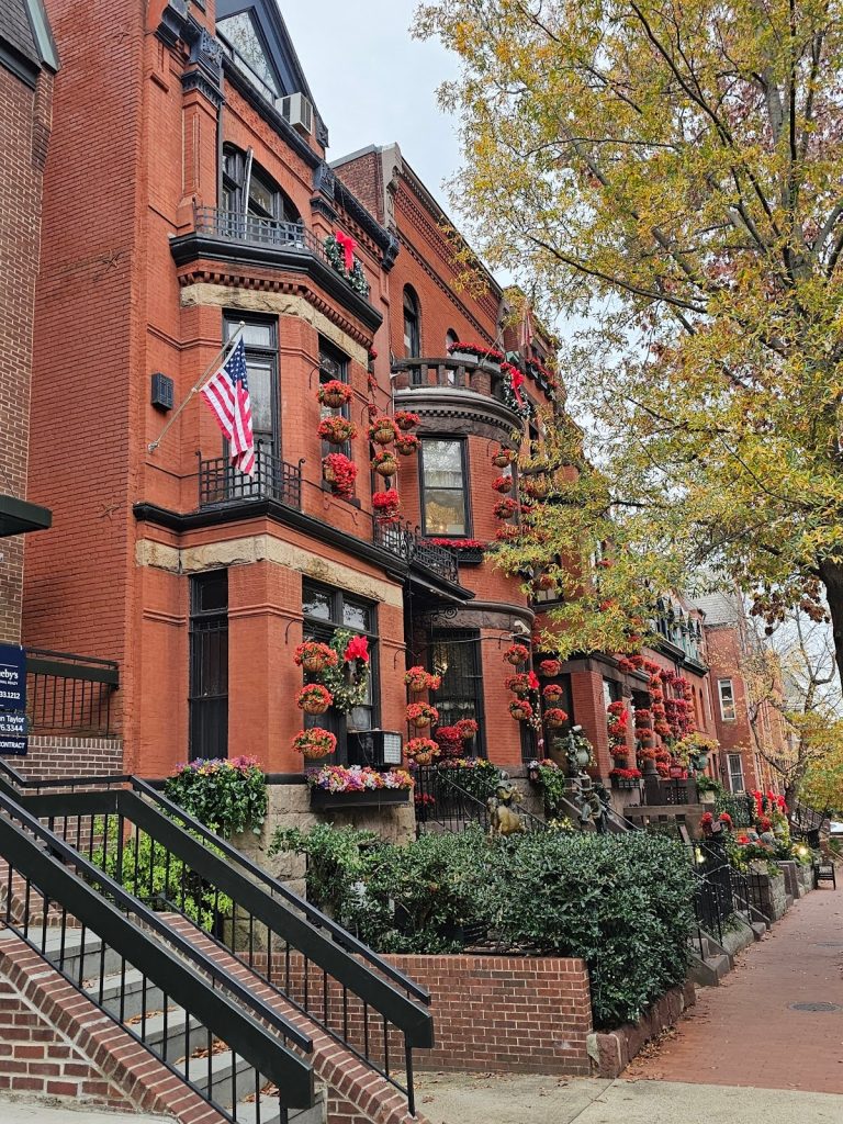 Decorative planters on a historic masonry facade creating visual appeal