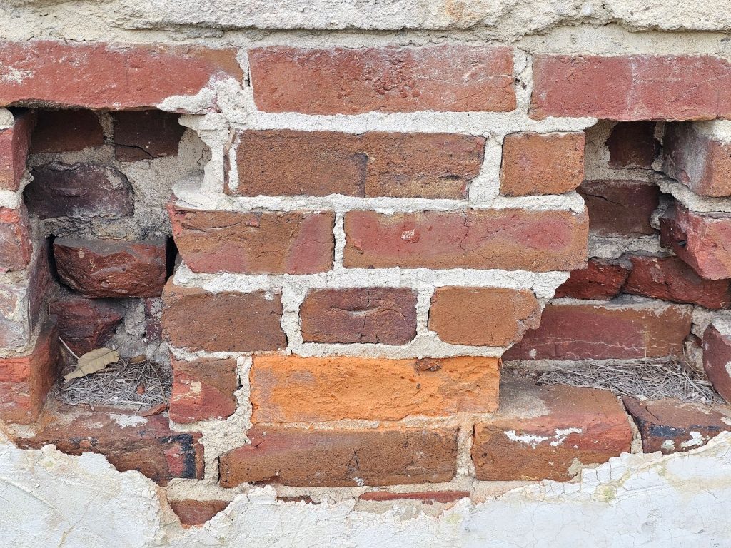 Tree Through a Beam Pocket - Part I 4 Masonry repair work around beam pocket with tree interference