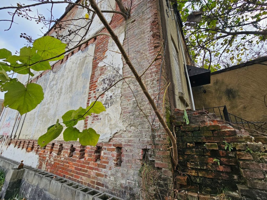 Masonry wall showing tree penetration through beam pocket