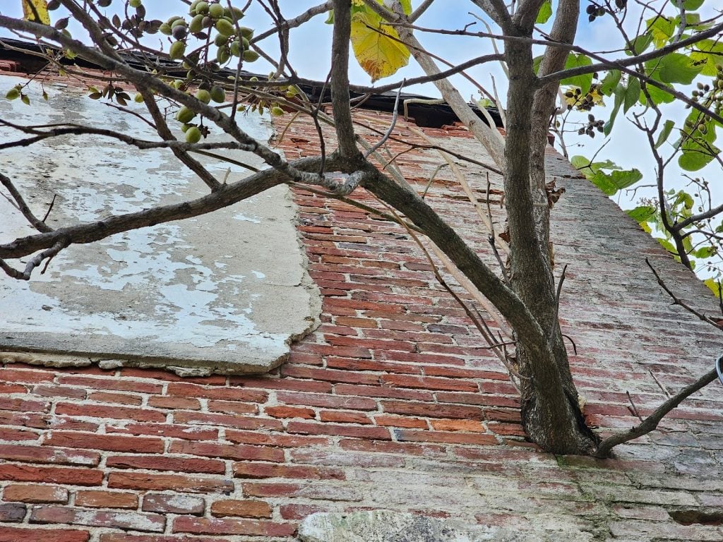 Structural beam pocket with tree interference