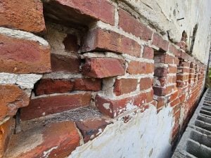 Tree growing through a beam pocket in a masonry wall