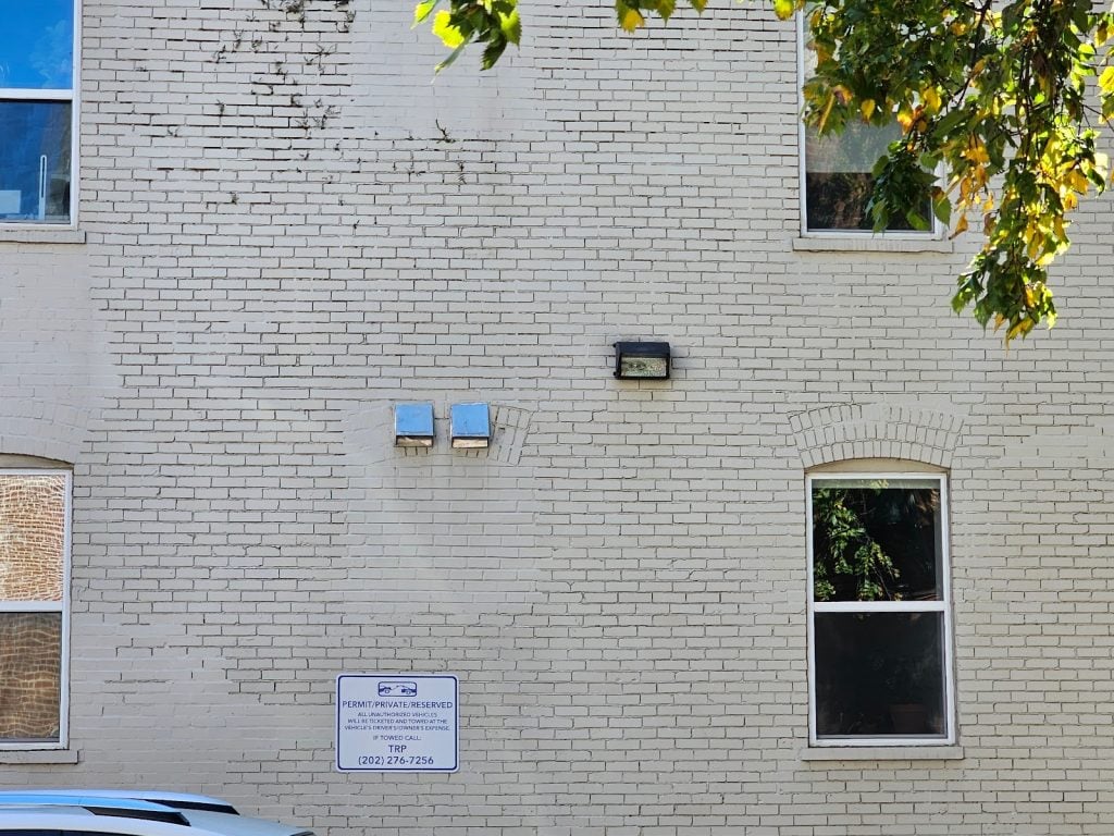 Cliffbrakes Growing in Historic Mortar Joints Part I