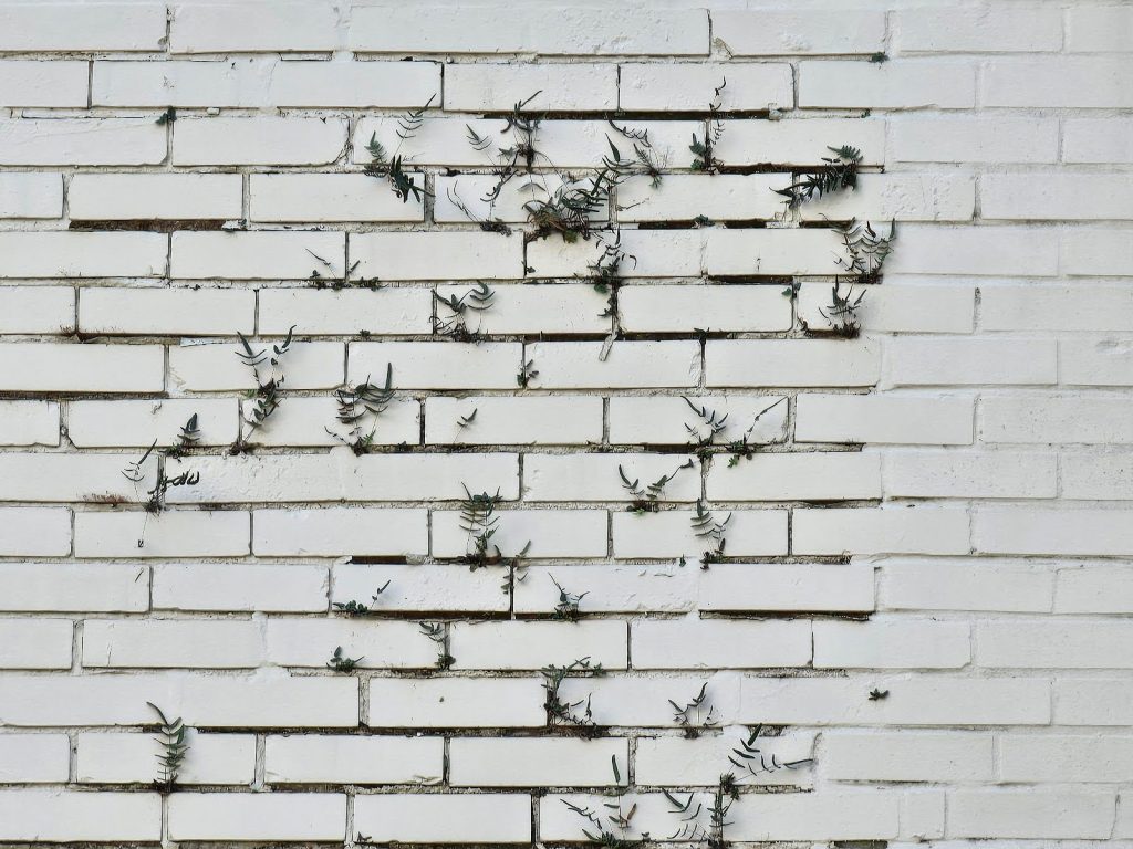 little plants growing out of the brickwork's mortar joints