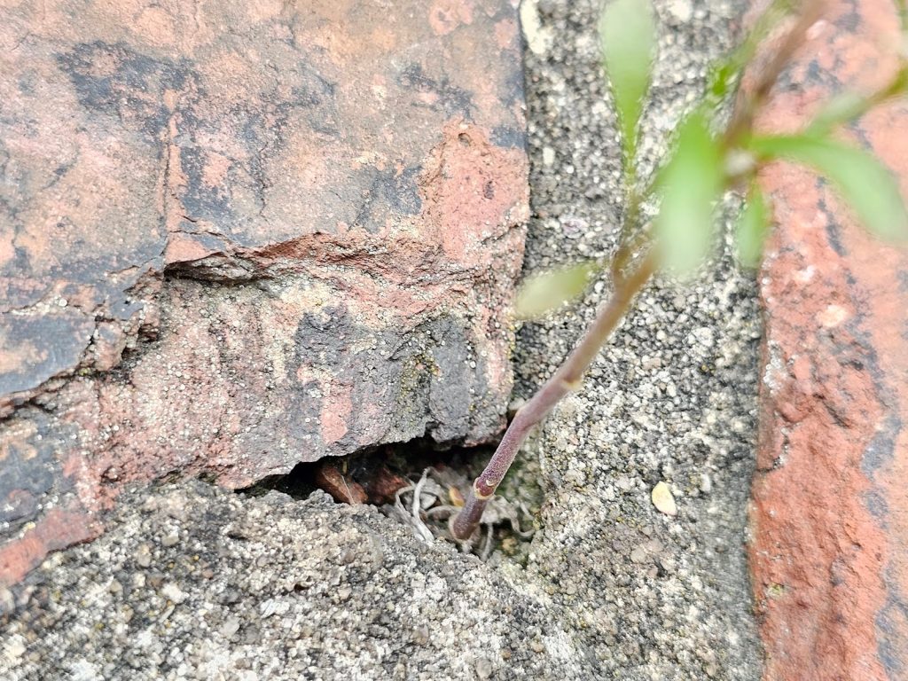 area where the brick has chipped away