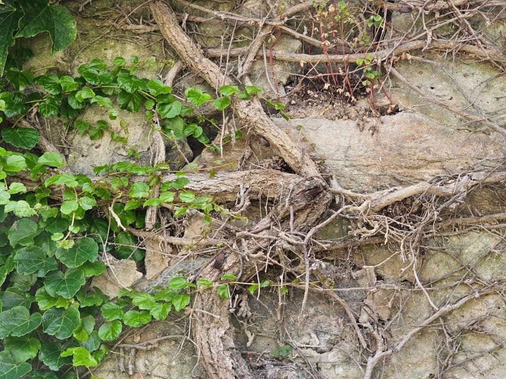 Buttressed Masonry Retaining Wall - Part II