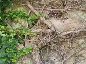 Buttressed Masonry Retaining Wall - Part II