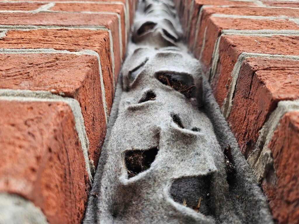 Brick Recess Plant Bag Removal and Masonry Restoration Service in Washington DC