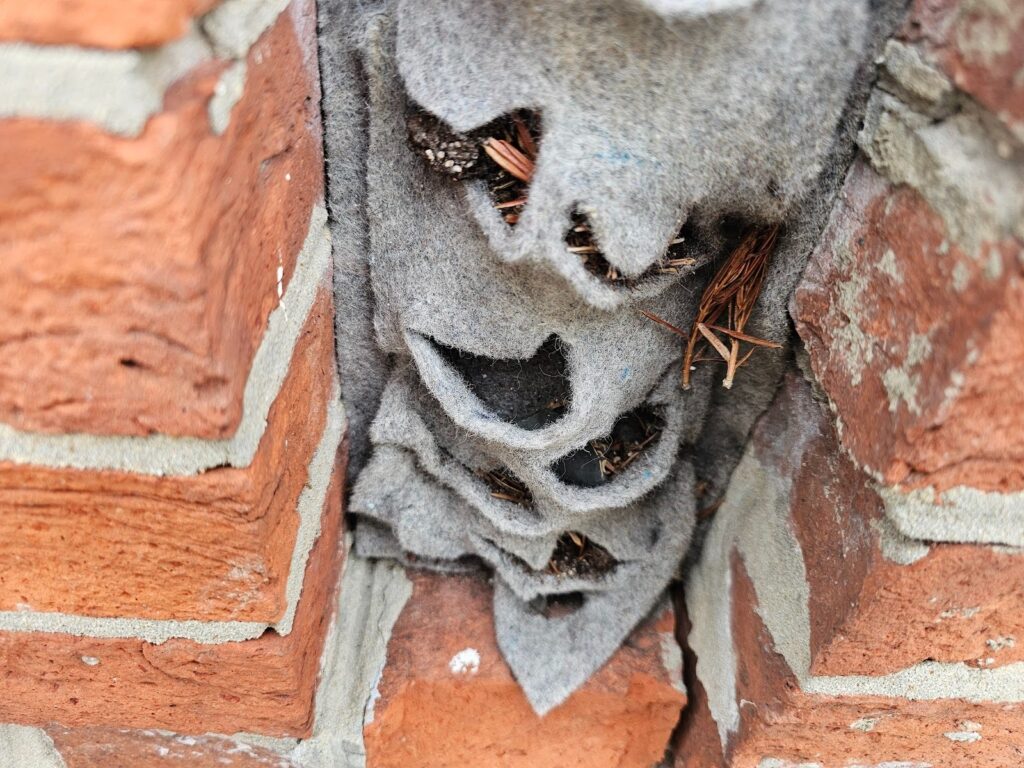Close-up of grow bags placed in brick recess garden setup