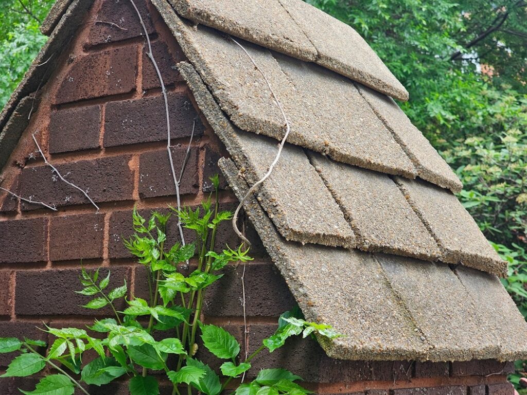 Mortar red than typical mortar