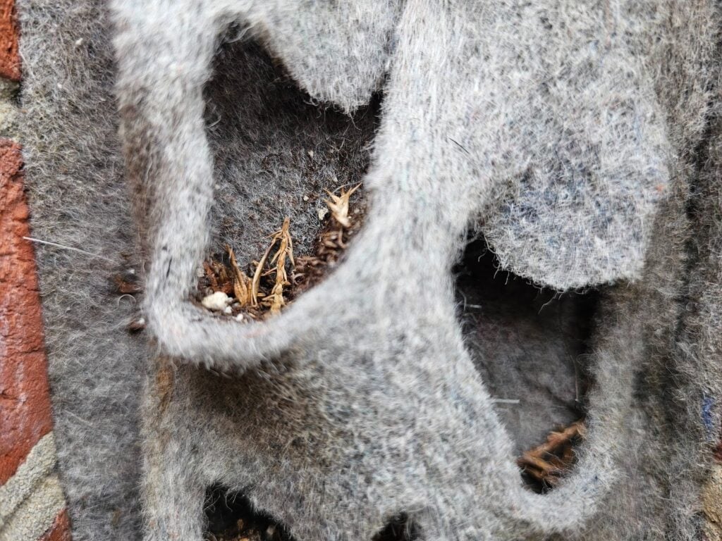 Plant Bags at Brick Recess - Part II