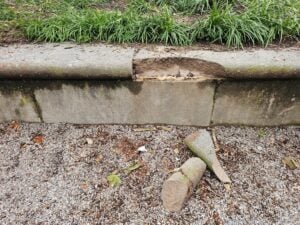 Blog 89 Masonry Color Change from Chemical Weathering DC