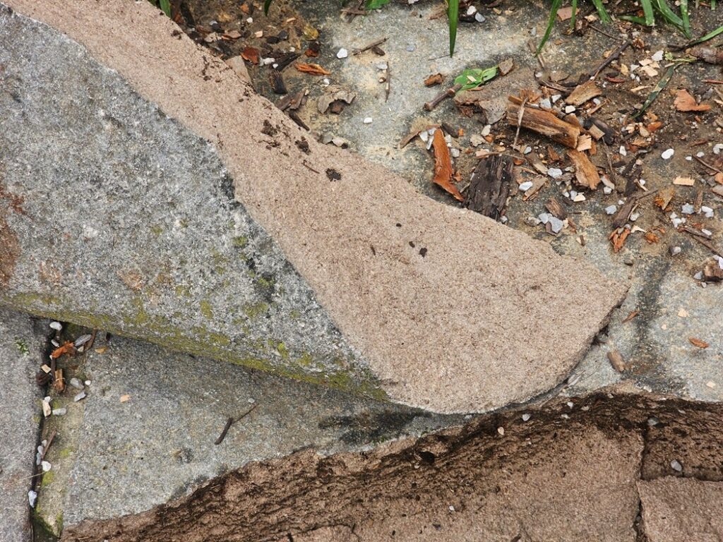 Masonry Color Change from Chemical Weathering - Part II 5 etymology of the same root word