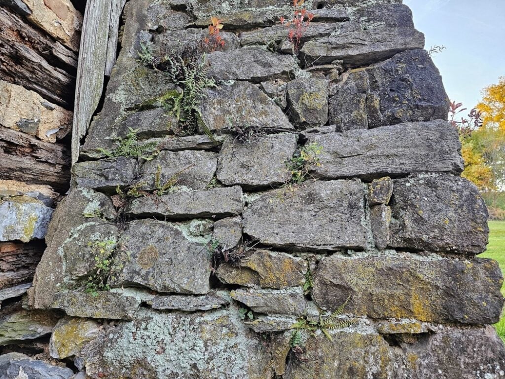 Historic Building with Wood together in Masonry - Part II 4 These types of materials would hold the organic chinking materials in place