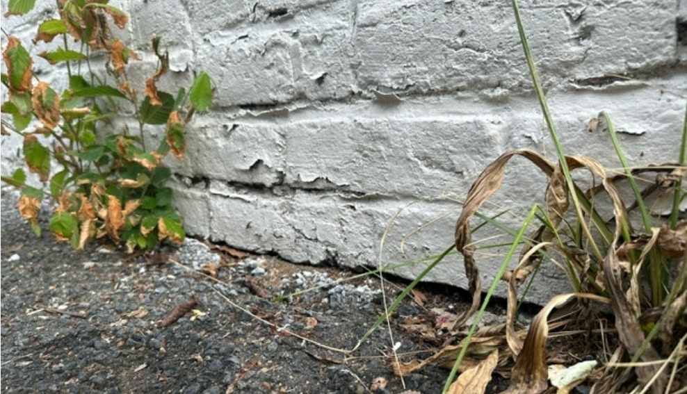 Expansion gap between asphalt paving surface and brick masonry wall