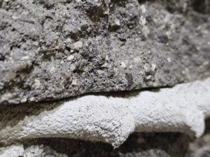 Bricklayer creating a weeping mortar joint